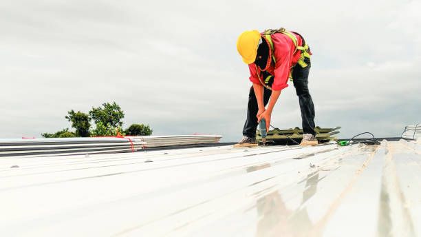 Best Green or Eco-Friendly Roofing Solutions  in San Francisco, CA
